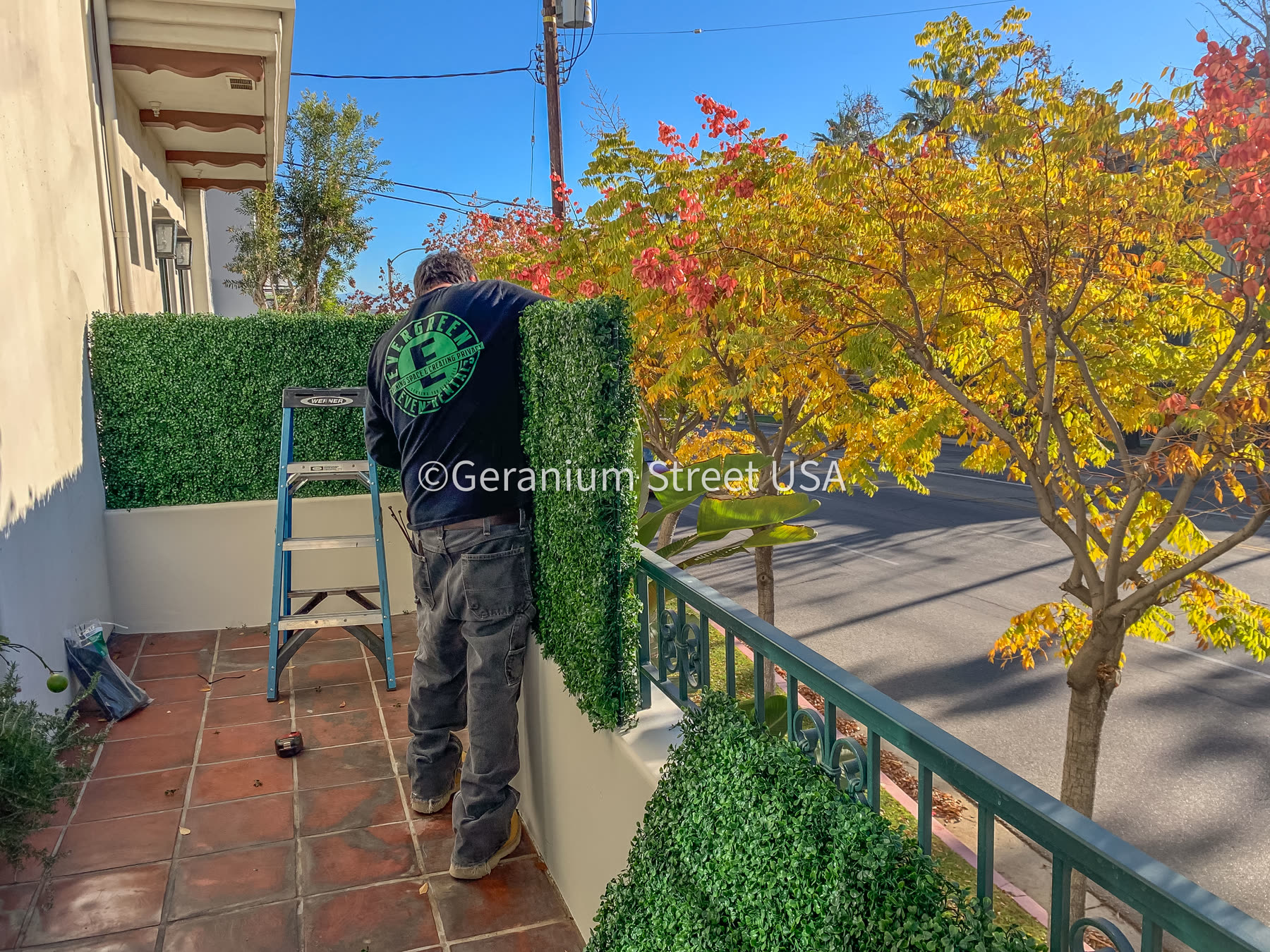 Backyard artificial hedge for privacy