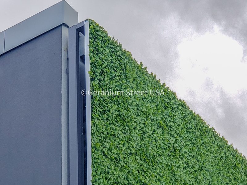 Custom living wall design for architects