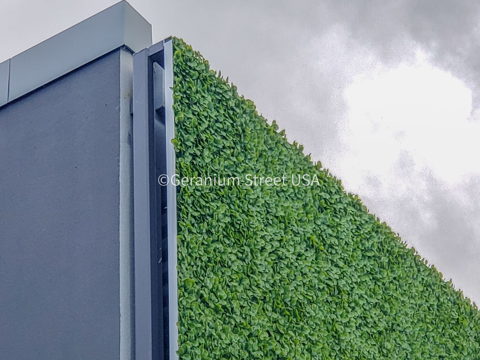 Living wall