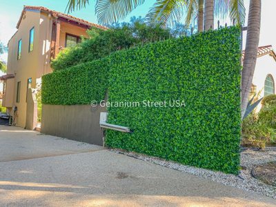 Interior living wall