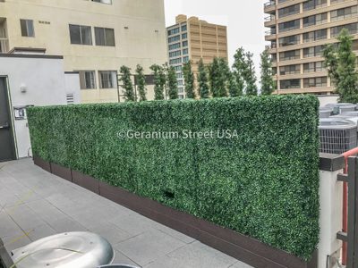 Rooftop AC screen